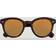 Oliver Peoples Cary Grant Sun OV5413SU 1454O8