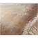 Rapport Tallulah 144 TC Duvet Cover Gold