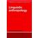 Linguistic Anthropology (Paperback, 1997)