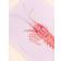 Yvonne Ellen Lobster Chopping Board 30cm