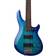 Schecter C-5 Plus