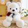 Shein 1pc Cute Stuffed Bear Toy With Rose For Valentine'S Day Gift Or Confession, Teddy Bear Doll In Simple Design