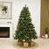 Nordic Winter Ash Green Julgran 300cm