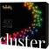 Twinkly Cluster Black/RGB Guirlande Lumineuse 400 Lampes