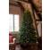 Sirius Anni Green Julgran 210cm