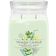 Yankee Candle Cucumber Cooler Mint Bougie Parfumée 567g