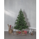 Star Trading New Quebec Green Christmas Tree 180cm