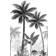 Marburg Palm Trees Plants (47204)