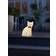 Konstsmide Sitting Cat Acrylic LED Julelampe 34cm