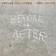 Neil Young Before And After (CD)