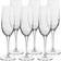 Luigi Bormioli Aero Champagne Glass 23.5cl 6pcs