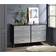 Bed Bath & Beyond Contemporary Silver Chest of Drawer 16x29"