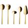 aida RAW Cutlery Set 5pcs