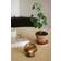 Globen Lighting Fungo Brown Scented Candle