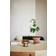 Globen Lighting Fungo Brown Doftljus