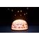 Olala Boutique Night Lamp with Starry Sky Sea Nattlampa
