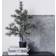 House Doctor LED Natural Julgran 75cm
