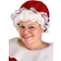 Fun Mrs Claus Costume Dress for Women