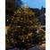 Sirius Krinke Drop Down Green Julgransbelysning 273 Lampor