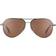 Serengeti Carrara Polarized Grey/Brown