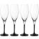 Villeroy & Boch Manufacture Rock Champagne Glass 25.5cl 4pcs