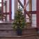 Star Trading Busch Green Julgran 90cm