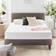 AllModern Wayfair Sleep Queen Polyether Mattress