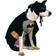 Rubies Classic Pet Batman Costume