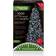 Premier Decorations Treebrights White Jullampa