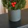 Homcom Berries Cypress Green Juletræ 47cm