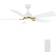 Carro Smart 52-inch Indoor/Outdoor Ceiling Fan