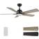 Carro Smart 52-inch Indoor/Outdoor Ceiling Fan