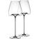 Zieher Vision Intense Rödvinsglas, Vitvinsglas 64cl 2st