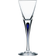 Orrefors Intermezzo Shot Glass 6cl