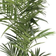 Newport Kentia Palm Green Kunstig plante