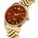 Vivienne Westwood Wallace (VV208RDGD)
