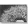 East Urban Home Dandelion Seed Sketch Grey/Black Wall Decor 60x40cm