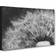 East Urban Home Dandelion Seed Sketch Grey/Black Wall Decor 60x40cm