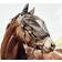 Horse Guard Fluemaske Til Trense - Black