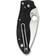 Spyderco SPC101PBK2 Fickkniv