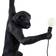 Seletti Monkey Black Wall lamp