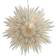 Watt & Veke Sofie White and Black Advent Star ∅ 64cm