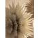 Watt & Veke Sofie White and Black Advent Star ∅ 64cm