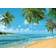 Tropical Beach Photography Background