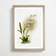 East Urban Home Magnolia Flowers White/Green/Grey Framed Art 50x76cm