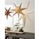 Star Trading Decorus White Estrella de Adviento 63cm