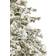 Premier Decorations Flocked Mountain Pine Green/White Christmas Tree 183cm