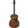 Ibanez AAM54-OPN Acoustic, Open Pore Natural Acoustic Guitar