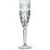 RCR Oasis Champagneglas 16cl 6stk