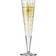 Ritzenhoff Goldnacht No:5 Champagneglas 20.5cl